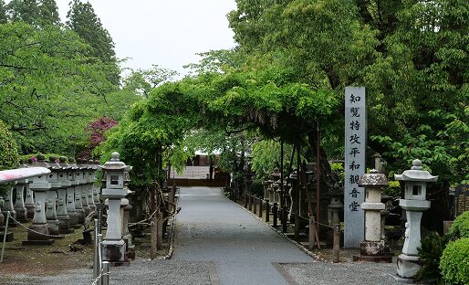 【会員限定】なかまの旅〜知覧〜