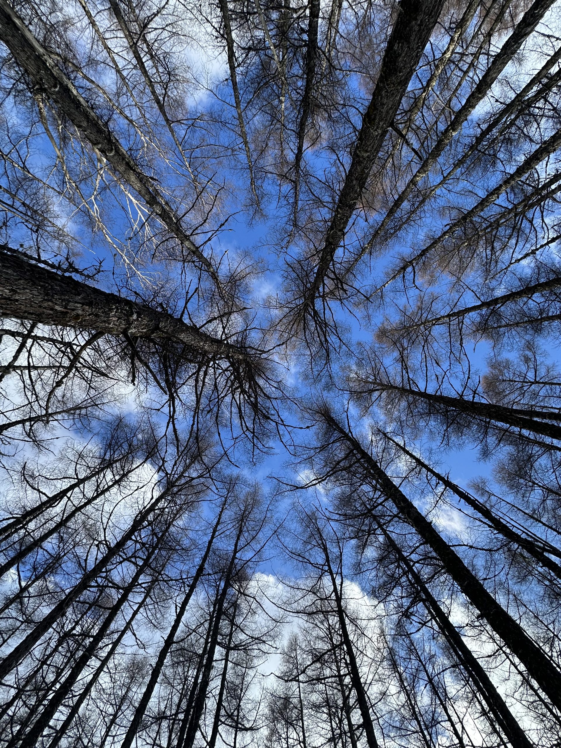 『時間の作り方』