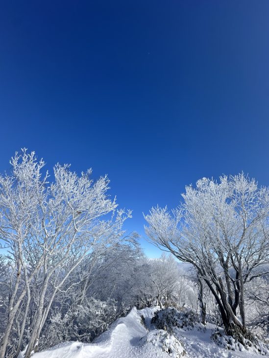 『動き始めた世界』