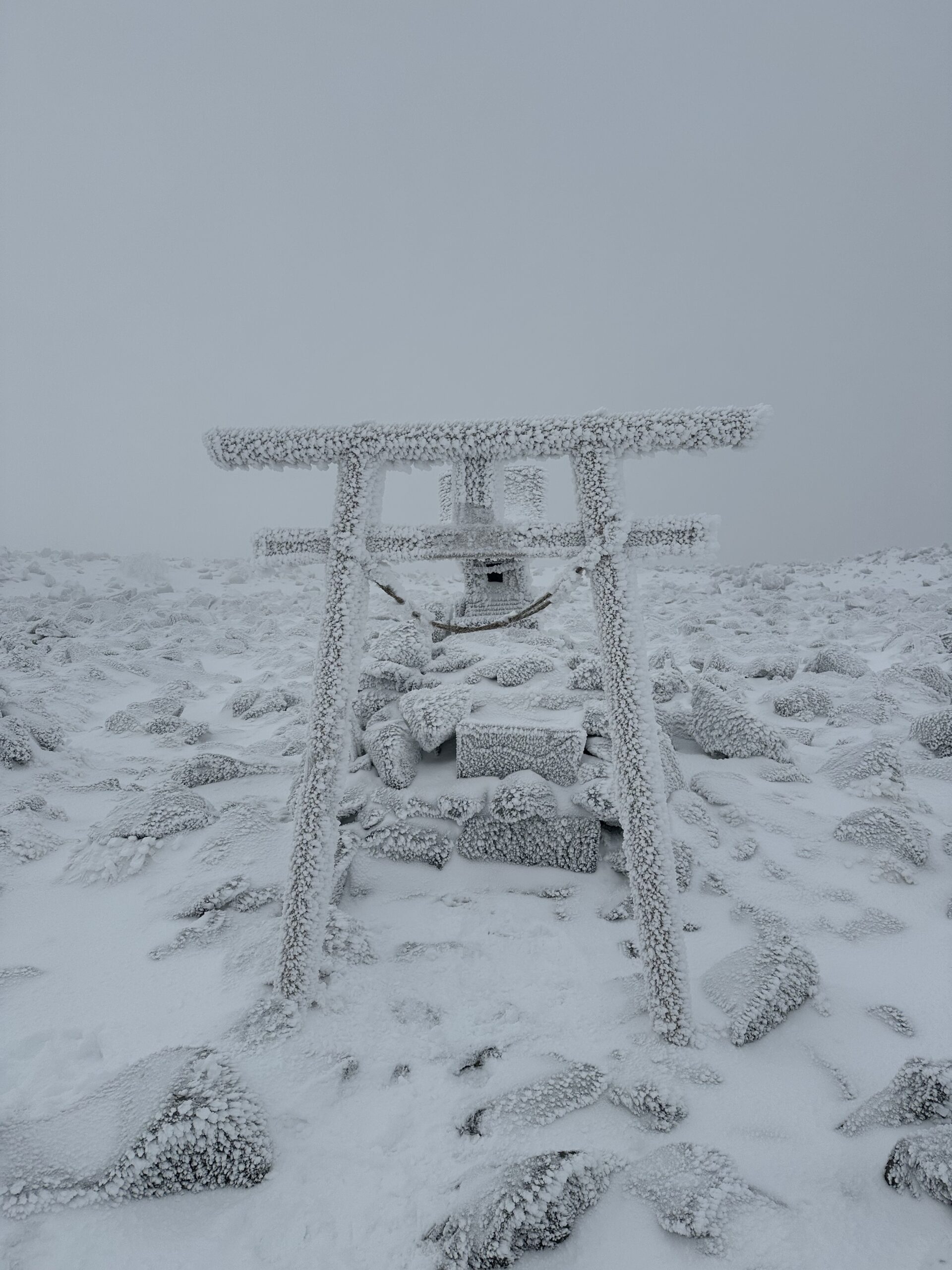 『願いの叶え方』